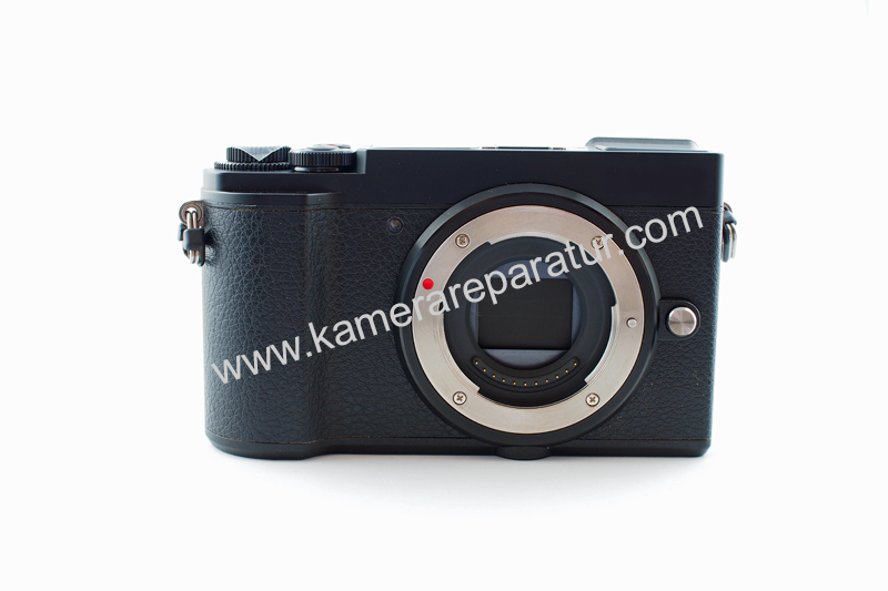 Reparatur einer Panasonic GX-9